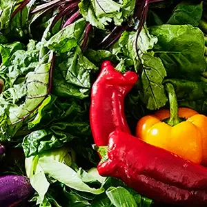Stock image of vegetables